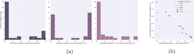 Figure 4 for Multimodal brain tumor classification