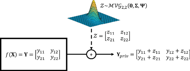 Figure 1 for A Differential Privacy Mechanism Design Under Matrix-Valued Query