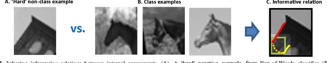Figure 3 for A model for full local image interpretation