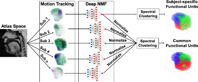 Figure 1 for A Deep Joint Sparse Non-negative Matrix Factorization Framework for Identifying the Common and Subject-specific Functional Units of Tongue Motion During Speech