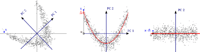 Figure 1 for Principal Polynomial Analysis