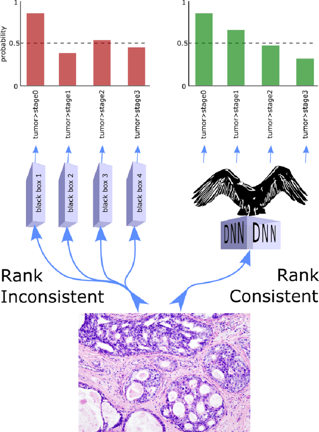 Figure 1 for Universally Rank Consistent Ordinal Regression in Neural Networks
