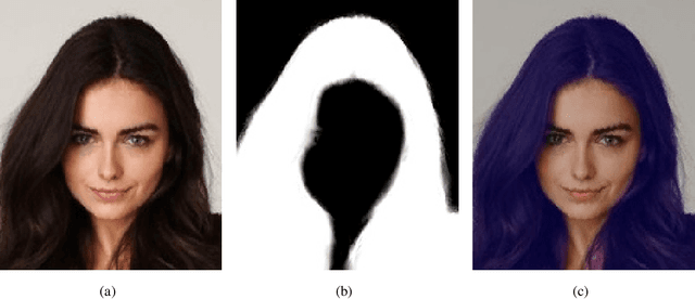 Figure 1 for Real-time Segmentation and Facial Skin Tones Grading
