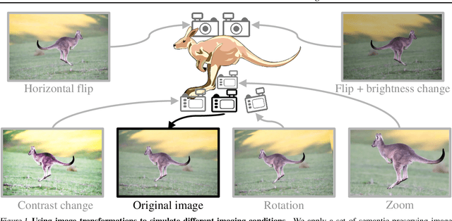 Figure 1 for Classification Confidence Estimation with Test-Time Data-Augmentation