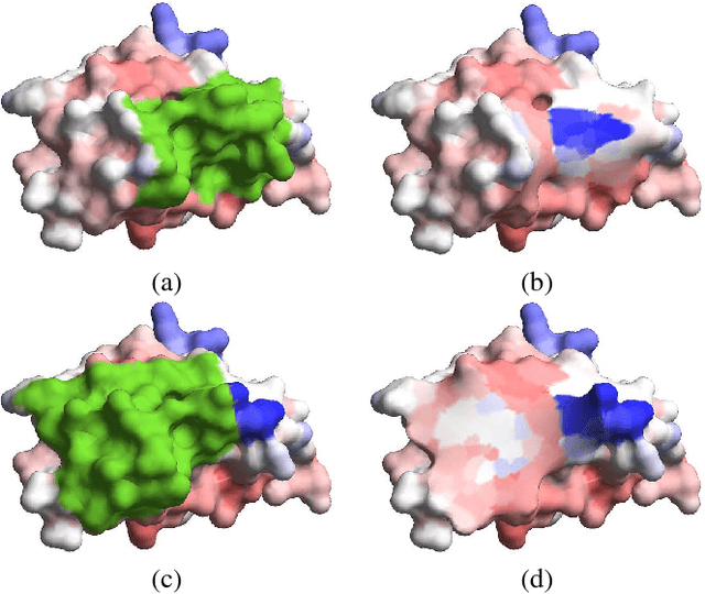 Figure 3 for LMap: Shape-Preserving Local Mappings for Biomedical Visualization