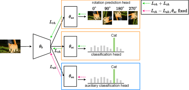 Figure 1 for Improving Self-supervised Learning for Out-of-distribution Task via Auxiliary Classifier