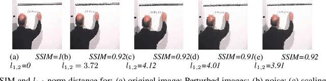 Figure 1 for Sparse Adversarial Video Attacks with Spatial Transformations