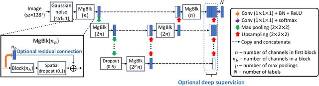 Figure 1 for SegNAS3D: Network Architecture Search with Derivative-Free Global Optimization for 3D Image Segmentation