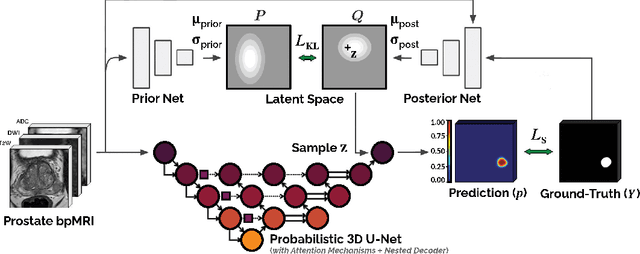 Figure 1 for Anatomical and Diagnostic Bayesian Segmentation in Prostate MRI $-$Should Different Clinical Objectives Mandate Different Loss Functions?
