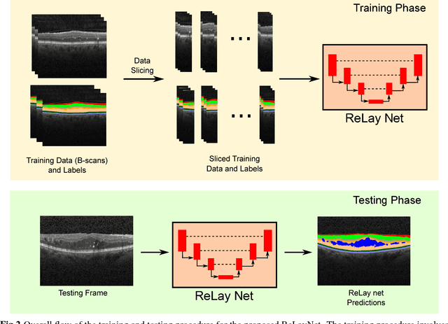 Figure 3 for ReLayNet: Retinal Layer and Fluid Segmentation of Macular Optical Coherence Tomography using Fully Convolutional Network