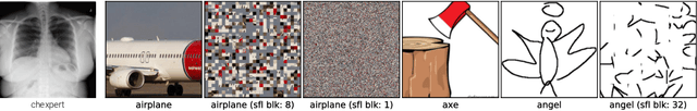 Figure 1 for What is being transferred in transfer learning?