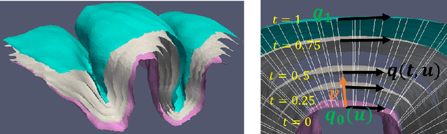 Figure 1 for 3D Normal Coordinate Systems for Cortical Areas