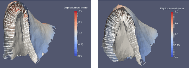 Figure 3 for 3D Normal Coordinate Systems for Cortical Areas