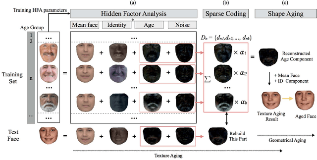 Figure 1 for Face Aging Effect Simulation using Hidden Factor Analysis Joint Sparse Representation