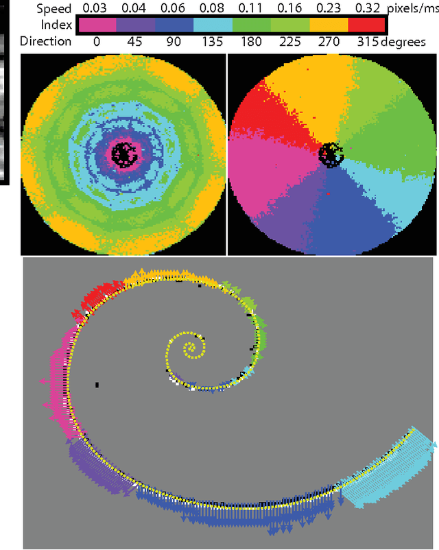 Figure 2 for Bioinspired Visual Motion Estimation