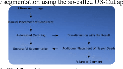 Figure 1 for In-depth Assessment of an Interactive Graph-based Approach for the Segmentation for Pancreatic Metastasis in Ultrasound Acquisitions of the Liver with two Specialists in Internal Medicine