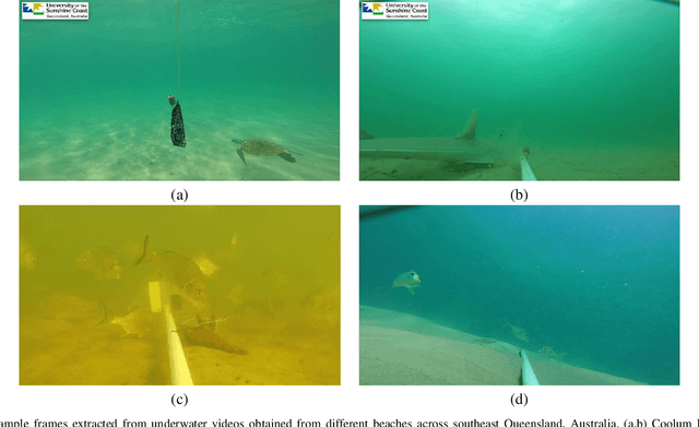 Figure 1 for Assessing fish abundance from underwater video using deep neural networks