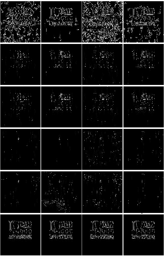 Figure 2 for A Robust Lane Detection Associated with Quaternion Hardy Filter
