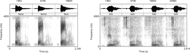 Figure 4 for Local and non-local dependency learning and emergence of rule-like representations in speech data by Deep Convolutional Generative Adversarial Networks