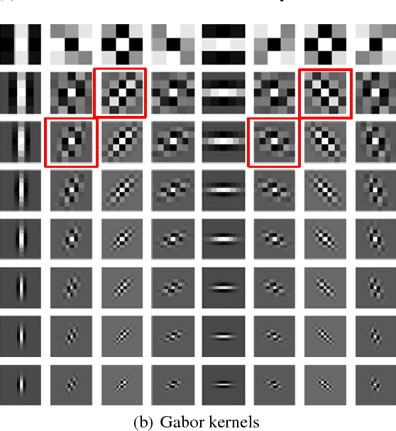 Figure 1 for Geometric Operator Convolutional Neural Network