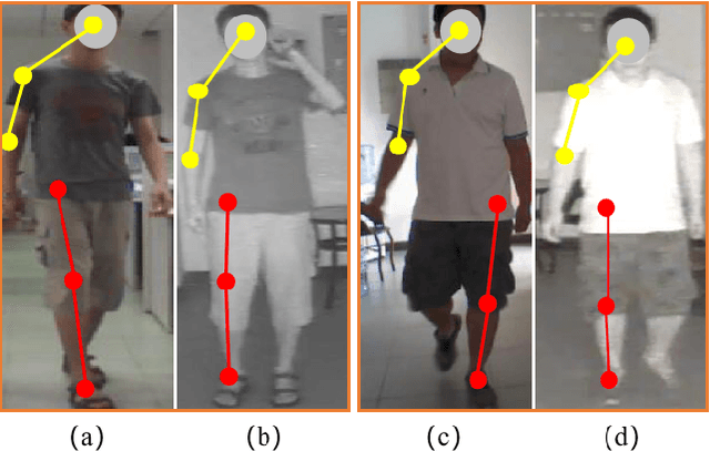 Figure 2 for Exploring Modality-shared Appearance Features and Modality-invariant Relation Features for Cross-modality Person Re-Identification