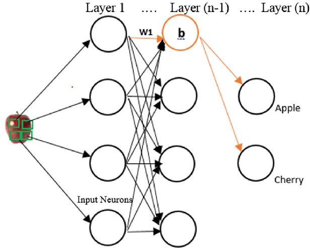 Figure 2 for Using Distance Estimation and Deep Learning to Simplify Calibration in Food Calorie Measurement