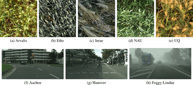 Figure 1 for Domain Generalisation for Object Detection
