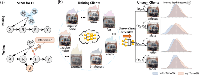 Figure 1 for TsmoBN: Interventional Generalization for Unseen Clients in Federated Learning