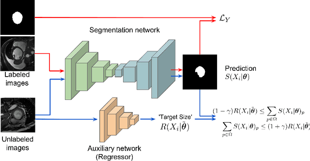 Figure 1 for Curriculum semi-supervised segmentation