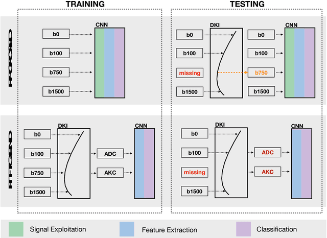 Figure 3 for Domain Adaptation for Deviating Acquisition Protocols in CNN-based Lesion Classification on Diffusion-Weighted MR Images