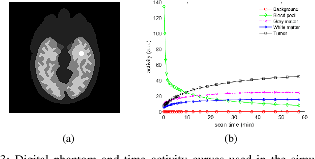 Figure 3 for Neural KEM: A Kernel Method with Deep Coefficient Prior for PET Image Reconstruction