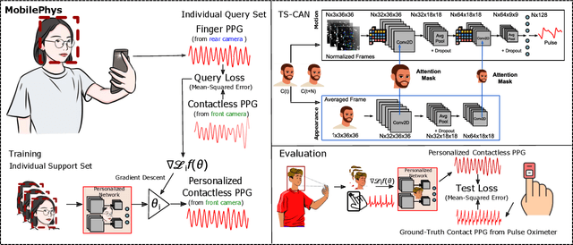 Figure 2 for MobilePhys: Personalized Mobile Camera-Based Contactless Physiological Sensing