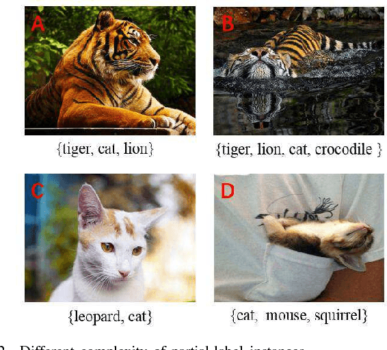 Figure 2 for A Self-paced Regularization Framework for Partial-Label Learning