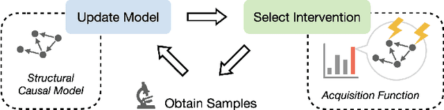 Figure 1 for Active Learning for Optimal Intervention Design in Causal Models