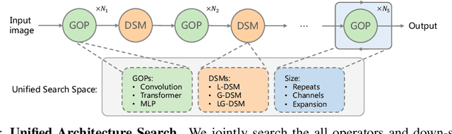 Figure 3 for UniNet: Unified Architecture Search with Convolution, Transformer, and MLP