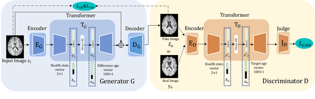 Figure 3 for Learning to synthesise the ageing brain without longitudinal data
