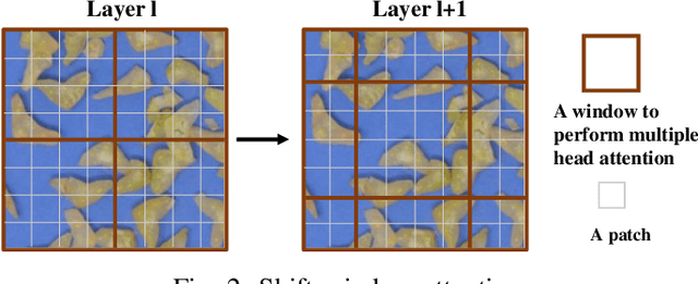 Figure 2 for SQ-Swin: a Pretrained Siamese Quadratic Swin Transformer for Lettuce Browning Prediction