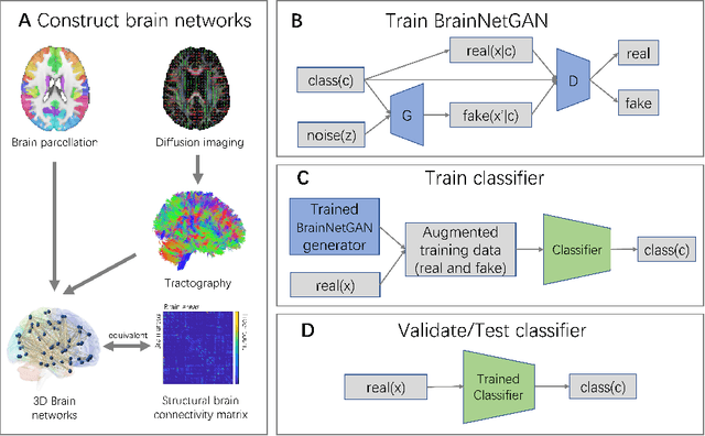 Figure 1 for BrainNetGAN: Data augmentation of brain connectivity using generative adversarial network for dementia classification