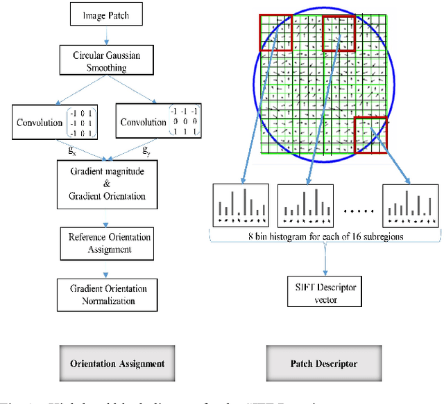 Figure 1 for Exploiting SIFT Descriptor for Rotation Invariant Convolutional Neural Network