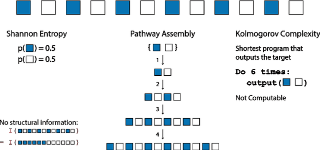 Figure 1 for Quantifying the pathways to life using assembly spaces