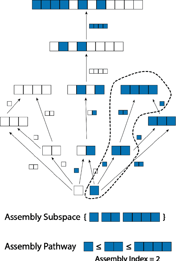 Figure 3 for Quantifying the pathways to life using assembly spaces