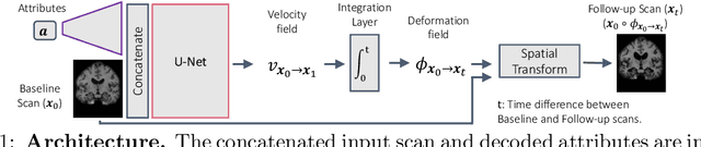 Figure 1 for Anatomical Predictions using Subject-Specific Medical Data