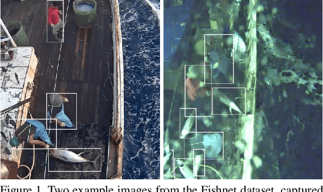 Figure 1 for The Fishnet Open Images Database: A Dataset for Fish Detection and Fine-Grained Categorization in Fisheries