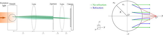 Figure 1 for Artifacts in optical projection tomography due to refractive index mismatch: model and correction