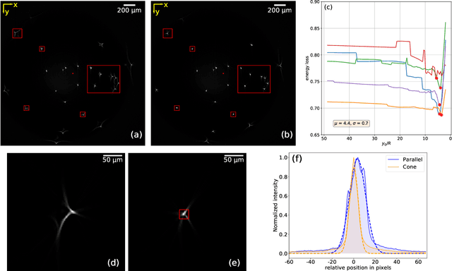 Figure 3 for Artifacts in optical projection tomography due to refractive index mismatch: model and correction