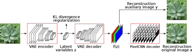 Figure 1 for Auxiliary Guided Autoregressive Variational Autoencoders