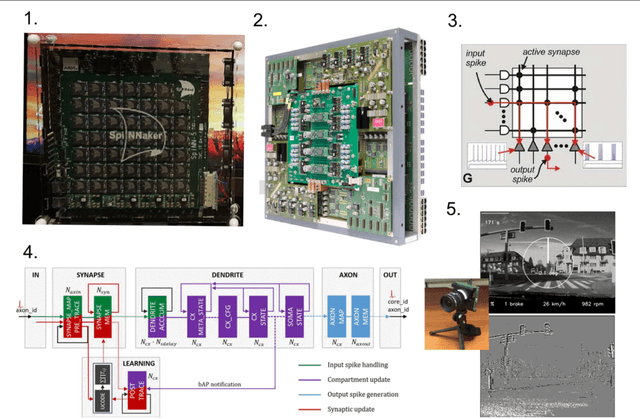 Figure 2 for Making BREAD: Biomimetic strategies for Artificial Intelligence Now and in the Future