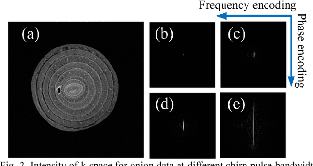 Figure 1 for Spread spectrum compressed sensing MRI using chirp radio frequency pulses