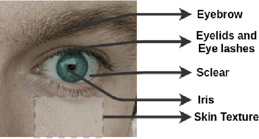 Figure 1 for Probing Fairness of Mobile Ocular Biometrics Methods Across Gender on VISOB 2.0 Dataset