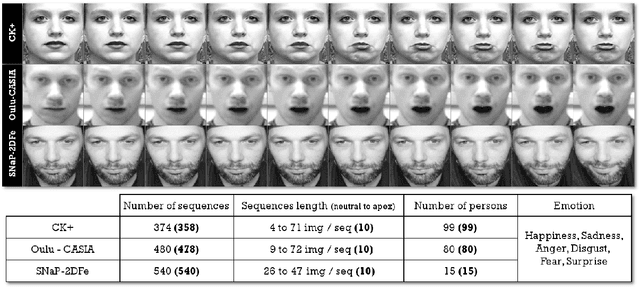 Figure 3 for Optical Flow Techniques for Facial Expression Analysis: Performance Evaluation and Improvements